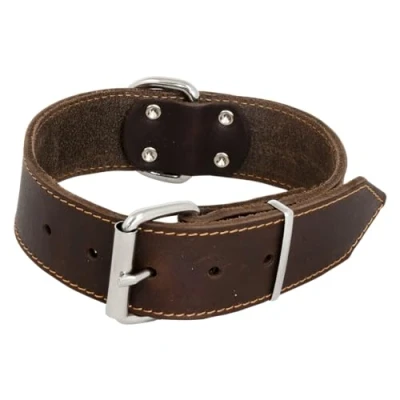 Afbeelding van Jack and Vanilla Halsband / Hondenhalsband Gevet Leder Bruin Breedte 50 mm Nekomtrek 45 54 cm (GELIEVE ALVORENS BESTELLEN OPMETEN)