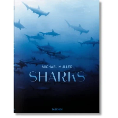 Afbeelding van Sharks