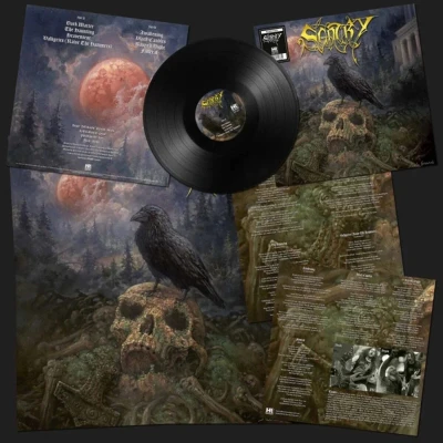 Afbeelding van Sentry (LP)