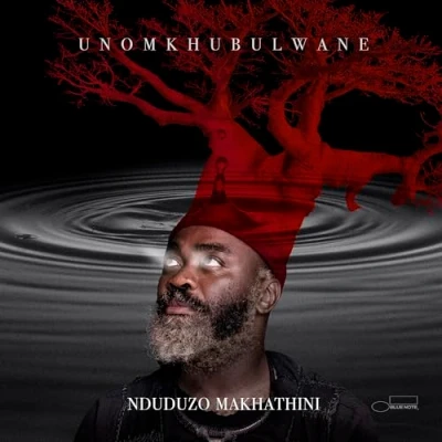 Afbeelding van Nduduzo Makhathini Unomkhubulwane (CD)