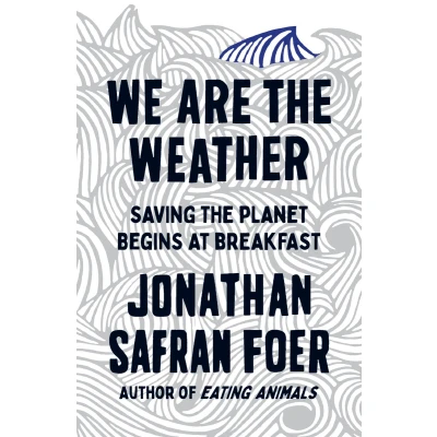 Afbeelding van We are the Weather