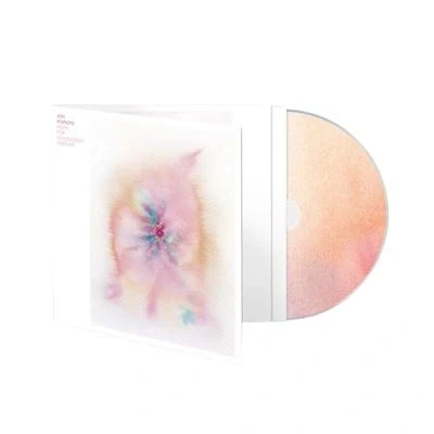 Image de Music For Psychedelic Therapy