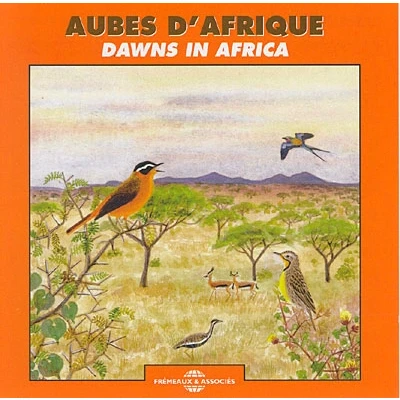 Image de Aubes d&#039;Afrique Afrique du sud Sénégal Kenya Cameroun
