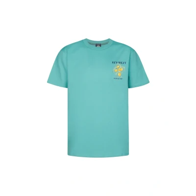 Afbeelding van Petrol Industries Tshirt print, Heren, Maat: 3XL, Aqua green
