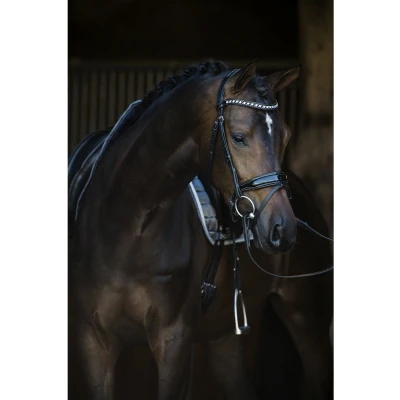 Afbeelding van HB Showtime Hoofdstel Armani Zwart Cob