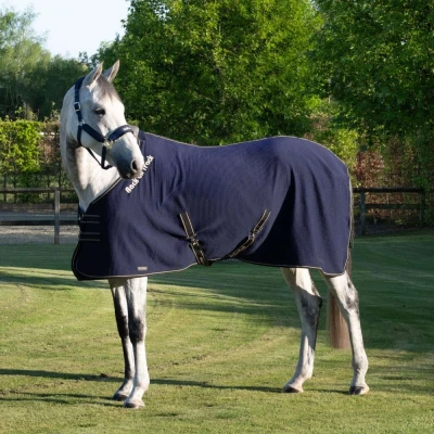 Afbeelding van Back On Track Cooler Quick Blauw