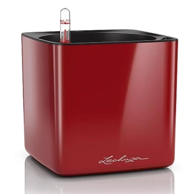 Afbeelding van Lechuza Cube Glossy 16 Scharlakenrood hoogglans