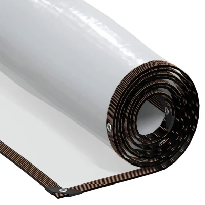 Afbeelding van vidaXL Doorzichtig zeildoek met zeilringen 4x12 m polyethyleen