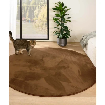 Afbeelding van Rond Zacht Vloerkleed Plush Bruin 160 Cm