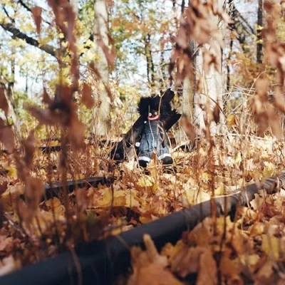 Afbeelding van Billy Woods Golliwog (LP)