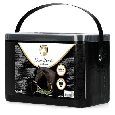 Image de Excellent Sweet Blocks Eucalyptus 1,2 kg