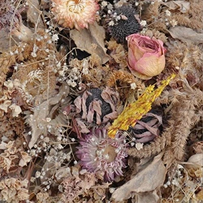 Afbeelding van Drowse Cold Air (LP)