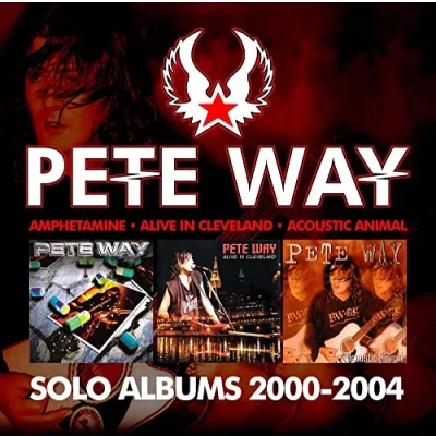 Afbeelding van SOLO ALBUMS: 2000 2004