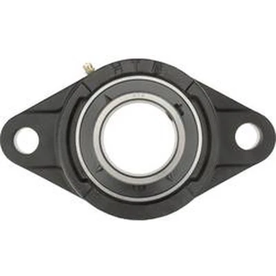 Afbeelding van HTB UCFL 202 Flenslager Grijs/grauw gietijzer Boordiameter 15 mm Gatafstand 90
