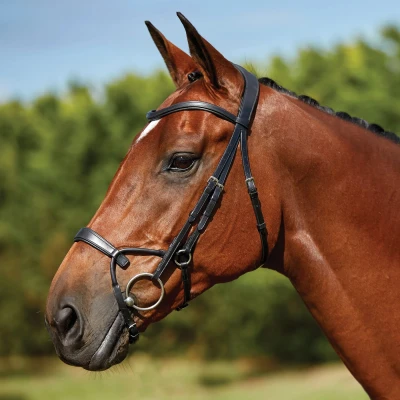 Image de Collegiate Bride Comfitec Training Noir Full