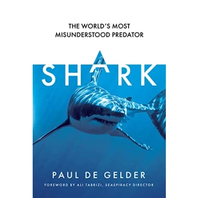 Afbeelding van Shark