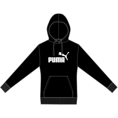 Afbeelding van PUMA ESS No. 1 Sweat à capuche avec logo TR