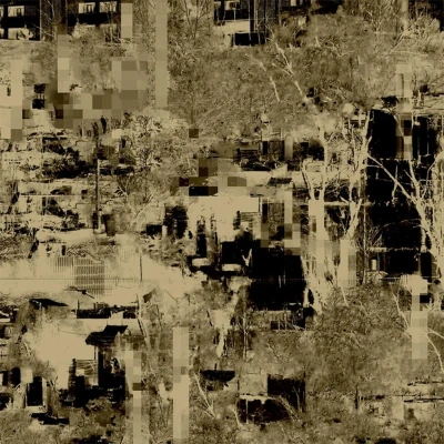 Afbeelding van Endlings Human Form (LP)