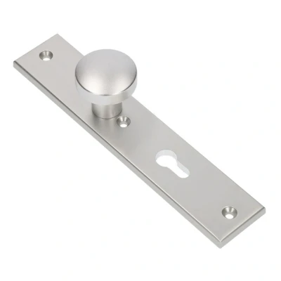 Afbeelding van Ami Knoplangschild diameter knop 50mm 251x50x8mm PC 72 aluminium F 1