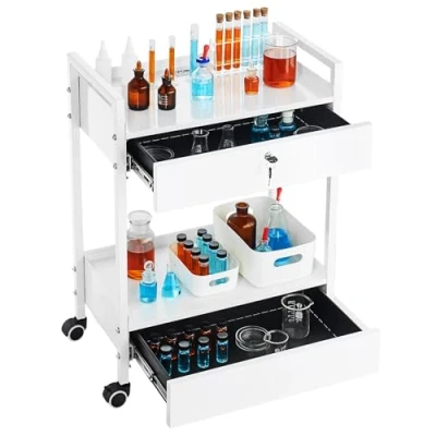 Afbeelding van VEVOR Laboratoriumwagen met 2 niveaus, medische trolley van roestvrij staal, serveerwagen twee laden, 360 graden wielen, voor laboratorium, schoonheidssalon, ziekenhuis, tandgebruik
