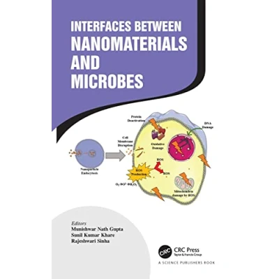 Afbeelding van Interfaces Between Nanomaterials and Microbes