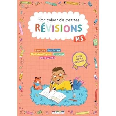 Afbeelding van MON CAHIER DES PETITES VACANCES MOYENNE SECTION