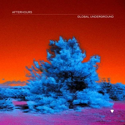 Afbeelding van Global Underground