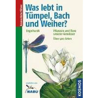 Afbeelding van Was lebt in Tümpel, Bach und Weiher?