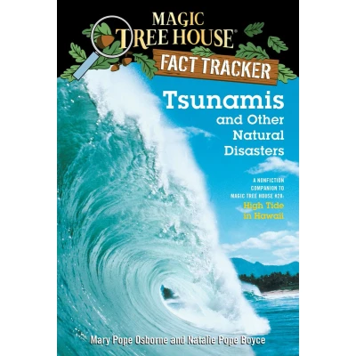 Afbeelding van Tsunamis and Other Natural Disasters