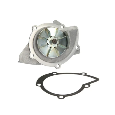 Afbeelding van HEPU P801 Waterpomp 19 Met pakking Mechanisch CITROËN: C4 I Hatchback, Picasso 1, C5 II Estate, PEUGEOT: 307 CC