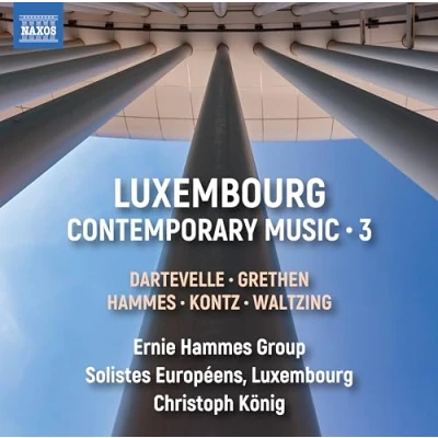 Afbeelding van Ernie Hammes Group, Solistes Européens Luxembourg, Christoph König Luxembourg Contemporary Music, Vol. 3 (CD)