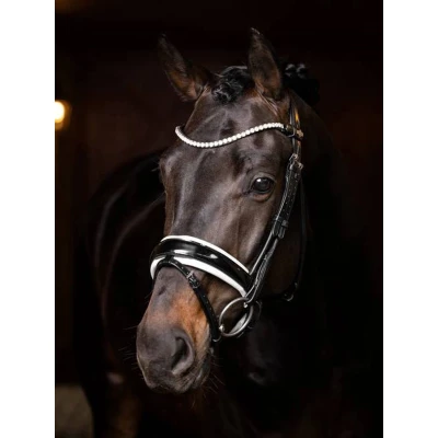Afbeelding van Ice Crystal Frontriem