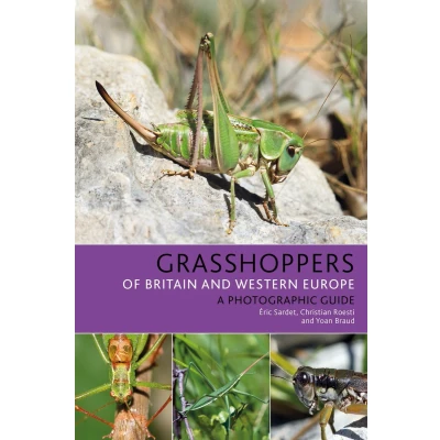 Afbeelding van Bloomsbury Naturalist Grasshoppers of Britain and Western Europe