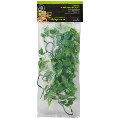 Afbeelding van Komodo Philodendron Plant 40 cm