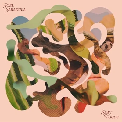 Afbeelding van Joel Sarakula Soft Focus (LP)