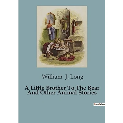 Afbeelding van A Little Brother To The Bear And Other Animal Stories