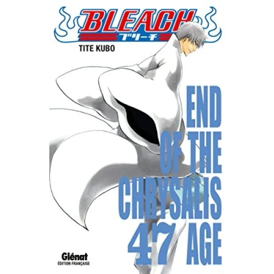 Afbeelding van BLEACH Tome 47