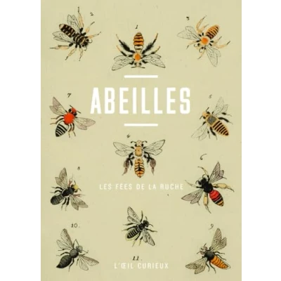 Afbeelding van ABEILLES LES FEES DE LA RUCHE