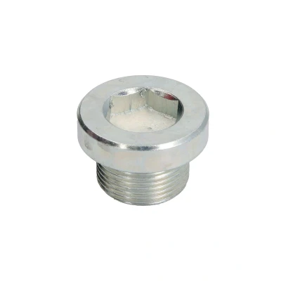 Afbeelding van TOPRAN 115 361 Olie Aftapplug M 24 VOLKSWAGEN: Touareg II, I