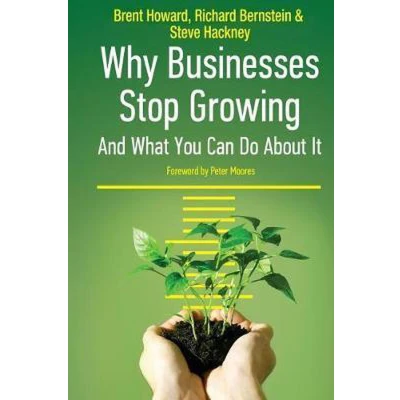 Afbeelding van Why Businesses Stop Growing