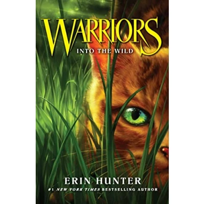 Afbeelding van Warrior Cats Into The Wild