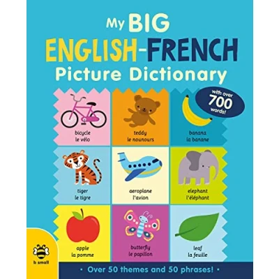 Afbeelding van Big Picture Dictionaries My English French Dictionary