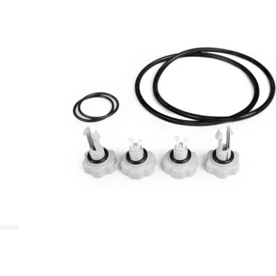 Afbeelding van Intex 2500GPH set o ringen voor filterpomp