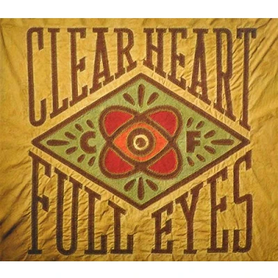 Afbeelding van Craig Finn Clear Heart Full Eyes (CD)