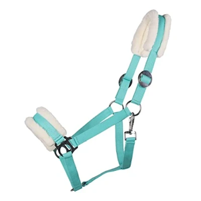 Afbeelding van QHP Halster Cali Turquoise COB