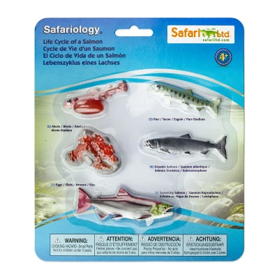 Afbeelding van Safari Speelfiguren Levenscyclus Van Een Zalm Junior 5 delig