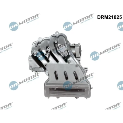Afbeelding van Dr.Motor Automotive Inlaatspruitstuk module DRM21825