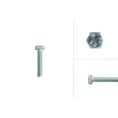 Afbeelding van Tapbouten Verzinkt M8 x 40 mm 200 stuks