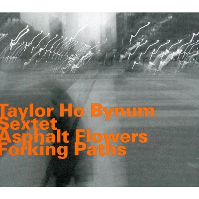 Afbeelding van Asphalt Flowers Forking Paths