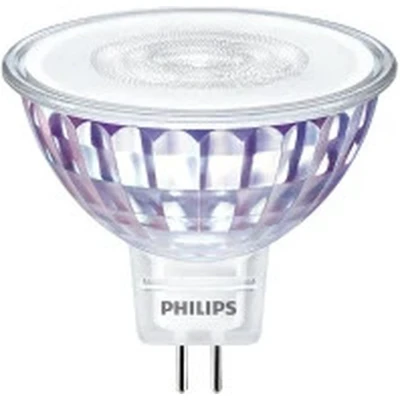 Afbeelding van Philips CorePro LED lamp 81479600 E3BY7